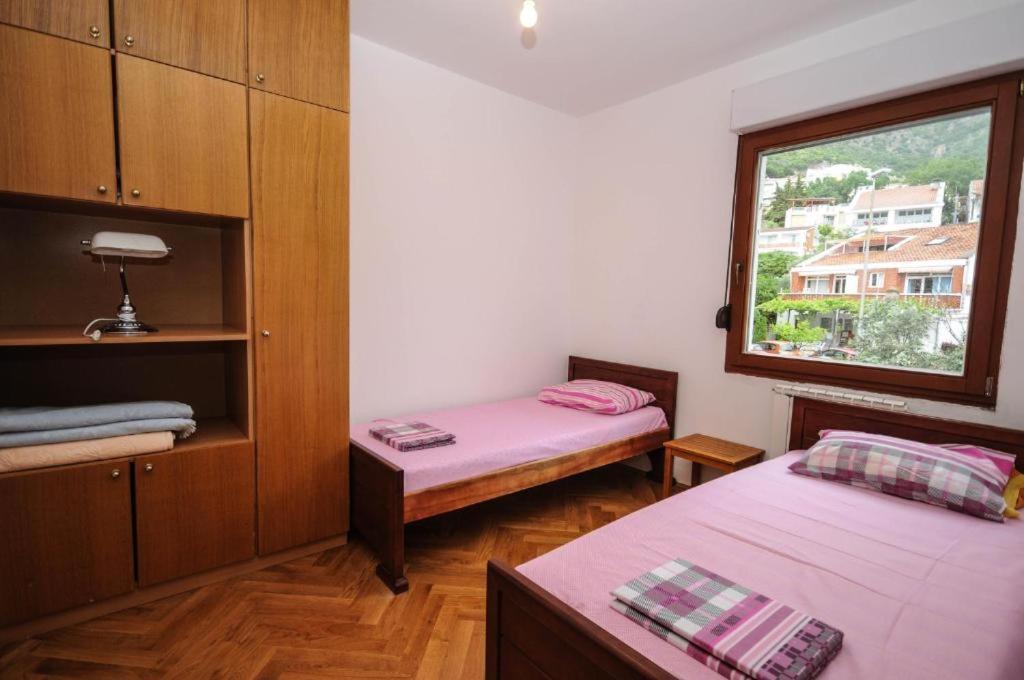 Apartment Jana Petrovac エクステリア 写真