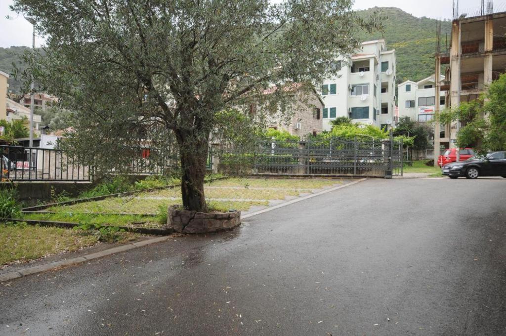 Apartment Jana Petrovac エクステリア 写真